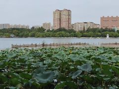 -济南大明湖景区