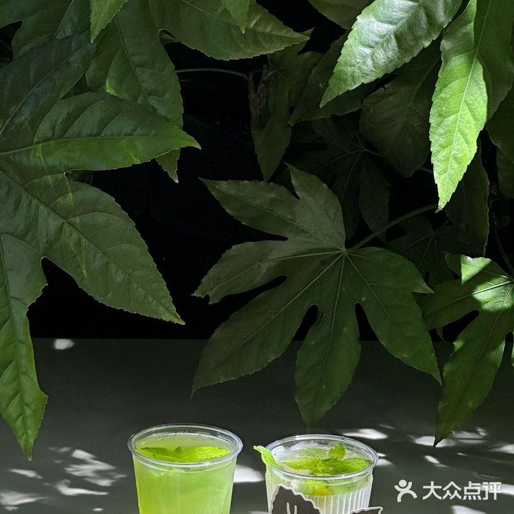在上海 恋上绿薄荷味儿的夏天🍃