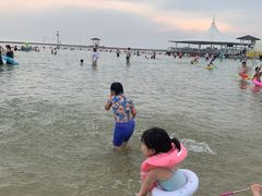 -碧海金沙