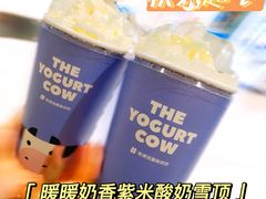 -一只酸奶牛(来福士店)