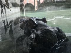 -武汉动物园