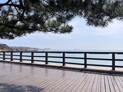 -八大关景区