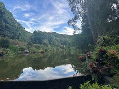 -深圳仙湖植物园