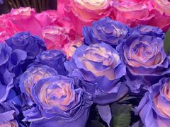 -ROSEONLY诺誓(广州K11店)