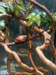 -Zoolung Zoolung动物主题公园(海信广场店)