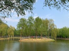 -东郊湿地公园