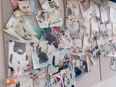 -芭比堂动物医院·CT·微创中心(新顺分院)