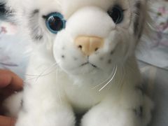 -济南野生动物世界