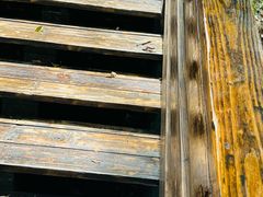 -水濂山森林公园