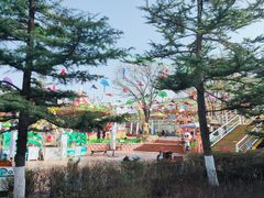 -金城公园