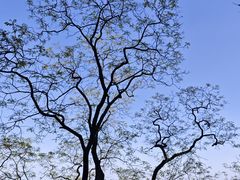 -鹫峰国家森林公园