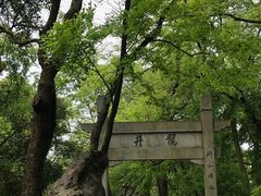 -龙井壹号·茶缘山景宴(龙井村店)