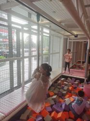 -超级奈尔宝SUPER NEOBIO(杭州星光店)