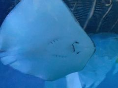 -常州海昌海洋探索馆