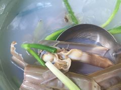 竹蛏汤-如我美食(达道社区店)