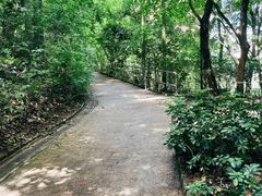 -九龙公园