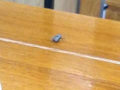 -清真刘记全羊肉鲜汤馆(前进路店)