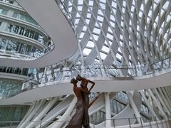 -凤凰中心