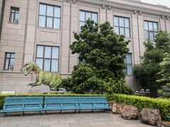 -国家自然博物馆