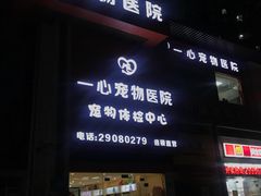 -创凡宠物医院·骨专科  猫科中心(西乡分院)
