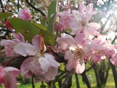 -贵阳市花溪国家城市湿地公园