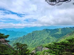 -朱雀国家森林公园