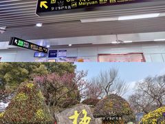 -无锡梅园公园