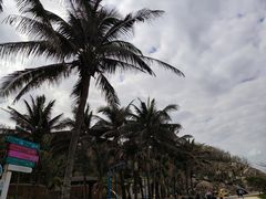 -三亚蜈支洲岛旅游区