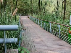 -西湖风景区-江洋畈生态公园