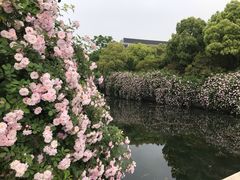 -尚贤河湿地