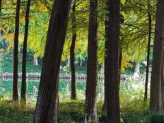 -西溪天堂·悦居