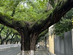 -颐和路民国时期公馆风貌区