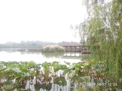 -白鹭湾湿地公园