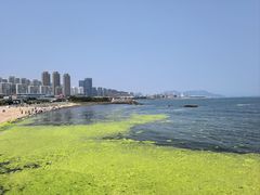 -小麦岛公园
