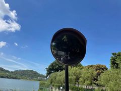 -立新湖公园