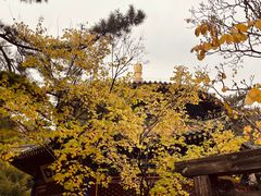 -潭柘寺景区