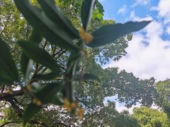 -壹笑茶庄·农家菜土菜杭帮菜