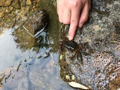 -众神白水涧景区