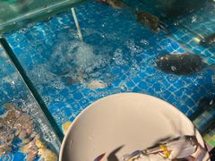 -渔家火锅·海鲜自助餐·演艺(亚龙湾天域酒店)