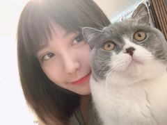 -爱诺动物医院(崂山店)