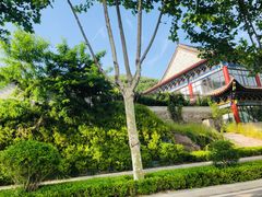 -石老人观光园