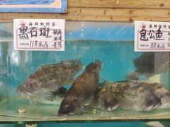 -东海渔村海鲜码头大排档
