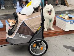 -BE YOLO必有乐&小红帽三明治