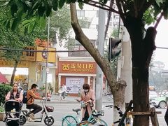 -金琴口腔·正畸种植全科(太升北路店)