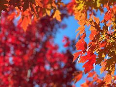 -北京西山国家森林公园