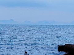 -玫瑰海岸文化旅游度假区