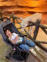 -酷嗒动物文化乐园(cutezoo西溪乐天城店)