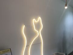 -有猫主题·治愈系猫咖(曾厝垵店)