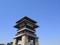 -大湾区中央湿地公园