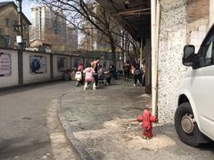 -老太皮肚面